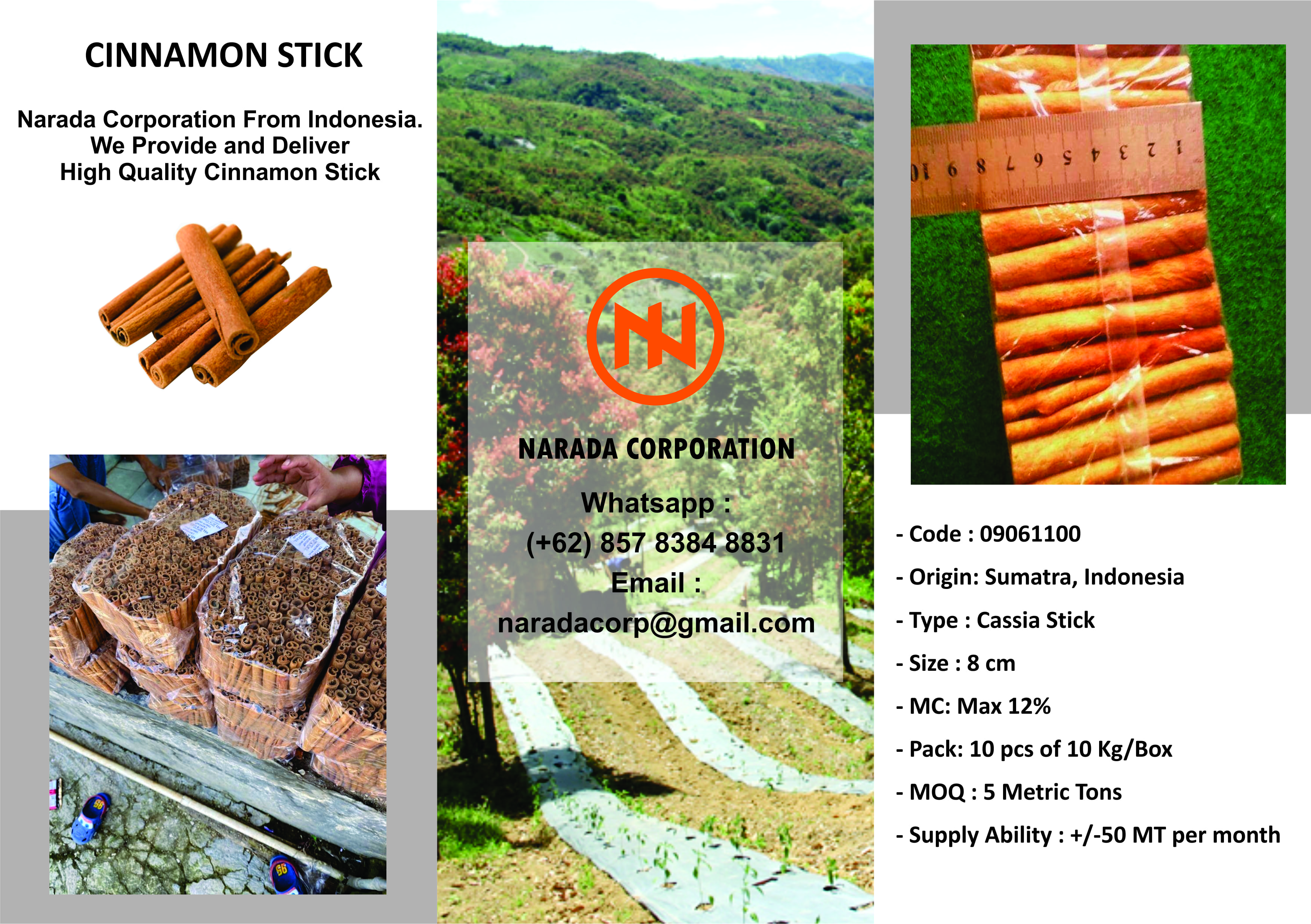 Cinnamon Stick (Cassia)
